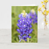 Carte Texas Bluebonnet Flower Close Portrait Art Card (Fleur jaune)