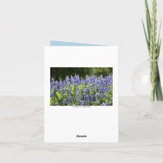 Carte Texas Bluebonnets Penser à vous (Dos)