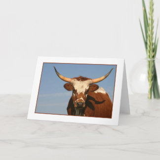 Carte Texas Longhorn Cow
