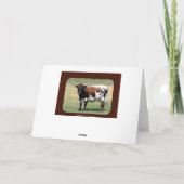 Carte Texas Longhorn Cow Joyeux anniversaire (Dos)
