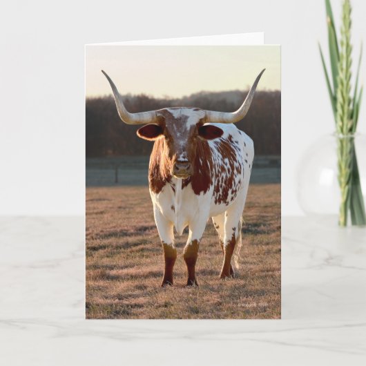 Carte Texas Longhorn Note Card (Devant)