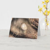 Carte Texture de l'écorce d'arbre grande photographie de (Fleur jaune)