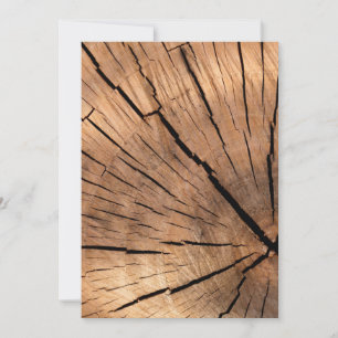 Carte Texture de souche d'arbre