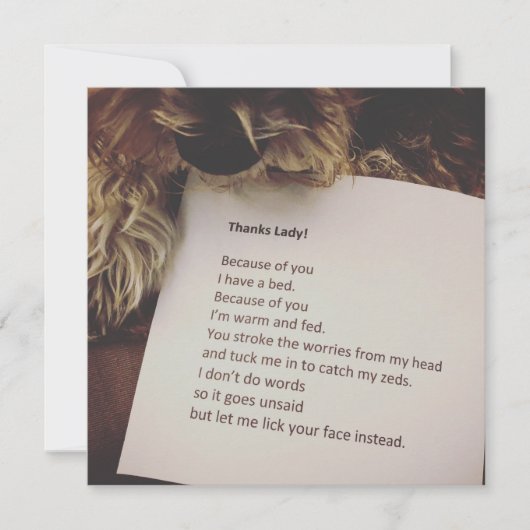 Carte Thank You Card de Dog (Devant)