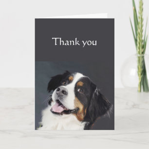 Carte Thanks for Awesome Border Collie Dog