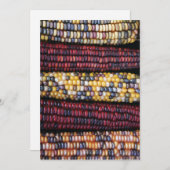 Carte Thanksgiving 5x7 (Devant / Derrière)