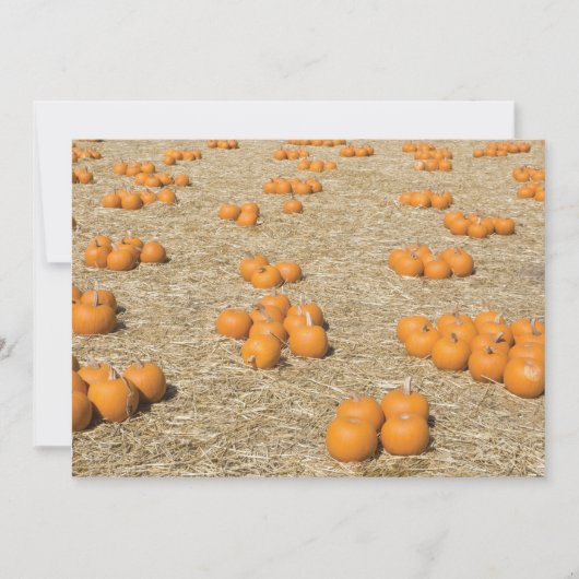 Carte Thanksgiving 7x5 (Devant)