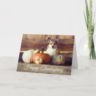 Carte Thanksgiving Corgi