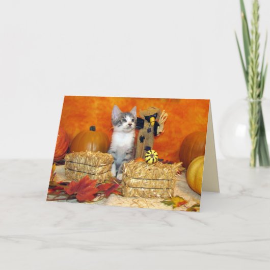 Carte Thanksgiving de la côtelette de porc - Chat (Devant)