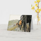 Carte The Beauty of Chisana (Fleur jaune)