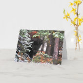 Carte The Beauty of Chisana (Fleur jaune)