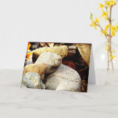 Carte The Beauty of Chisana (Fleur jaune)