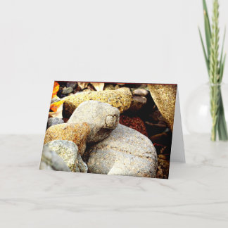 Carte The Beauty of Chisana