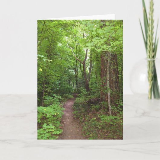 Carte The Enchanted Forest (Devant)