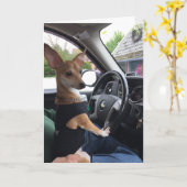 Carte The Journey of Life Dog - Greeting Card (Fleur jaune)