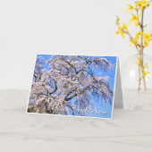 Carte The Weeping Cherry Tree: Matabei-Zakura (Fleur jaune)