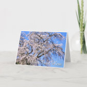 Carte The Weeping Cherry Tree: Matabei-Zakura (Devant)