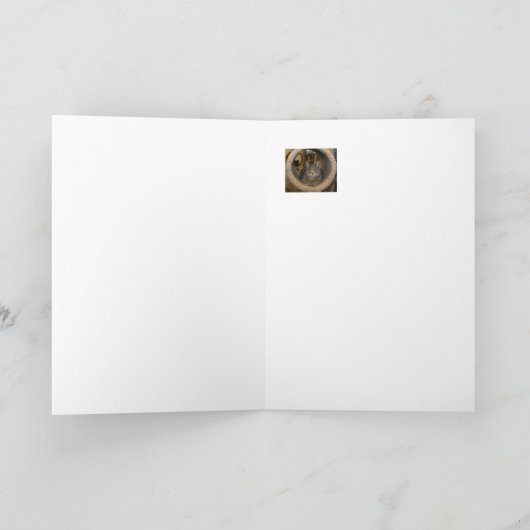 Carte There is Light at, The End of Every T. (Intérieur)