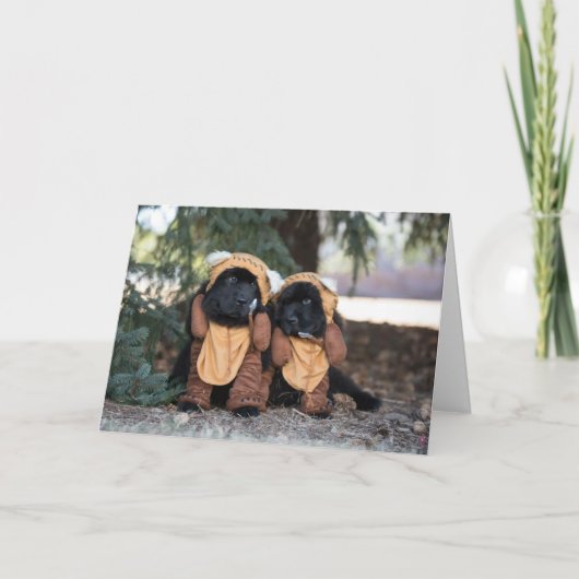 Carte Thinking of you bears (Devant)