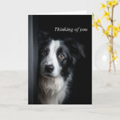 Carte Thinking of You Border Collie (Fleur jaune)