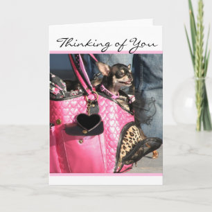 Carte Thinking of you Chihuahua