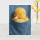 Carte Thinking of You Duckling In a Blue T-shirt Pocket (Fleur jaune)