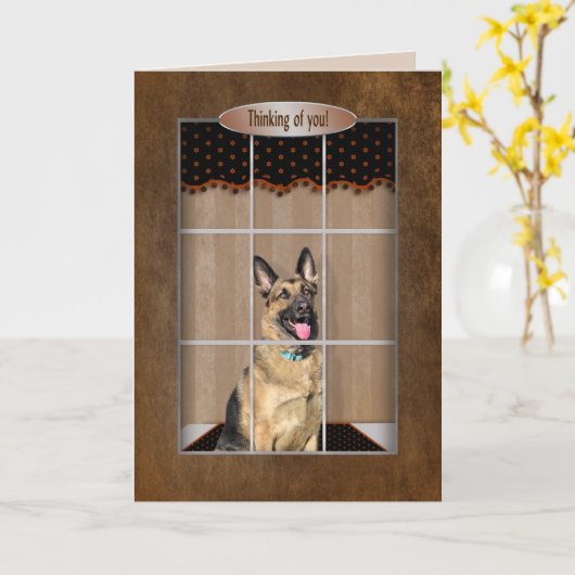 Carte Thinking of you - German Shepherd - Window (Fleur jaune)