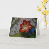 Carte Thinking of you, Stargazer Amaryllis (Fleur jaune)