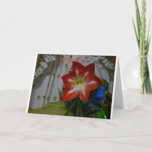 Carte Thinking of you, Stargazer Amaryllis