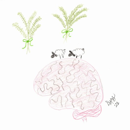 Carte Thinking of You - Thyme... Ewe are on My Mind 