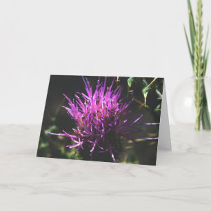 Carte "Thistle Kiss"