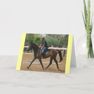Carte Thoroughbred Rehab - Blanc occidental et blanc équ