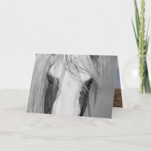 Carte Thor's Eyes - Wild Horse Greeting Card
