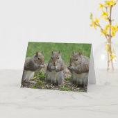 Carte Three Friends Gossiping (Fleur jaune)