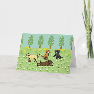 Carte Three Labradors with Spring Flowers
