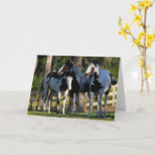 Carte Three Paint Horses Standing Together (Fleur jaune)