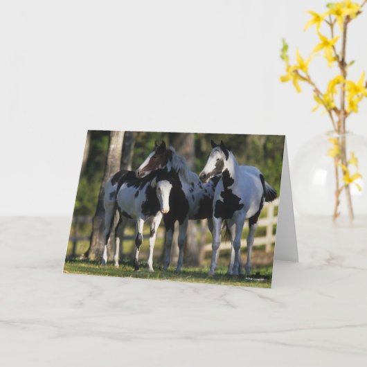 Carte Three Paint Horses Standing Together (Fleur jaune)