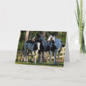 Carte Three Paint Horses Standing Together (Devant)