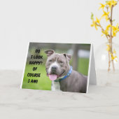 CARTE *THRILLED DOG VOUS ENVOIE DES FÉLICITATIONS* (Fleur jaune)