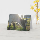 Carte Thumbi (Fleur jaune)
