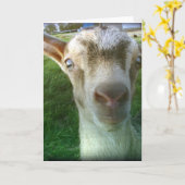 Carte Thunder (Fleur jaune)