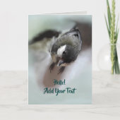 Carte Tidi my Bird le Parus Major (Devant)