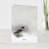 Carte Tidi my Bird le Parus Major (Dos)