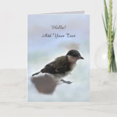 Carte Tidi my Bird le Parus Major (Devant)