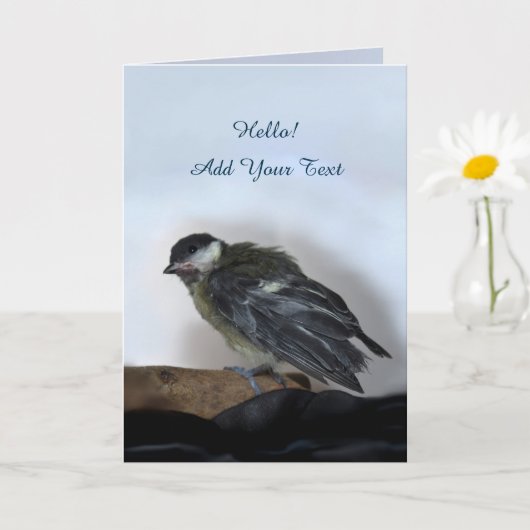 Carte Tidi my Bird le Parus Major (Petite plante)