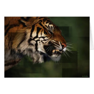 Carte Tiger