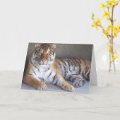Carte Tiger (Fleur jaune)