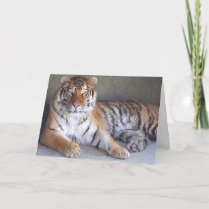 Carte Tiger