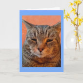 Carte Tiger Chat Miss You (Fleur jaune)