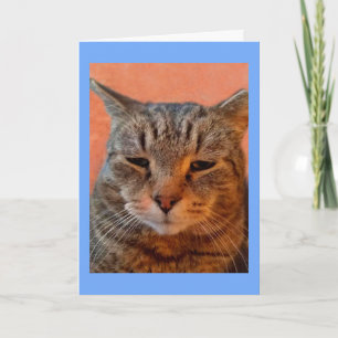 Carte Tiger Chat Miss You